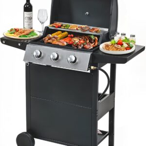 2 and 1 Burner Propane Gas Grill, Stainless Steel BBQ Grill 31,000 BTU for Outdoor Cooking Kitchen, Garden and Patio Backyard Barbecue, Black and Silver